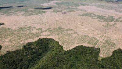ONG vai financiar quase R$ 9 milhões para restauração de reserva biológica no Maranhão