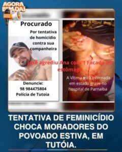 Homem tenta praticar feminicídio em Tutóia