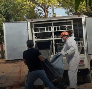 Restos humanos são encontrados em área da UFMA, em São Luís
