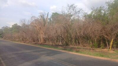 Confira ! Terreno colocado à venda em Timon é ótima oportunidade de negócio