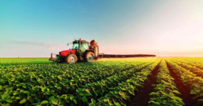 Economia do Maranhão cresce acima da média nacional e regional em 2025