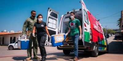 Maranhão registra recorde histórico de transplantes em 2025