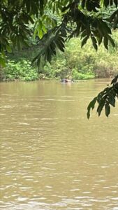 Corpo de homem é encontrado boiando no Rio Itapecuru