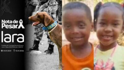 Saiba o motivo da morte da cadela que ocorreu durante busca de crianças desaparecidas nas matas de Bacabal