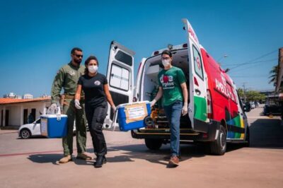 Maranhão registra recorde histórico de transplantes em 2025