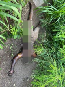 Corpo de homem é encontrado em Paço do Lumiar