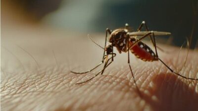 Tocantins é o 2º em casos de hanseníase e vive cenário crítico de doenças negligenciadas