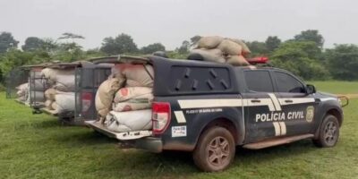 Polícia Civil apreende 2 toneladas de maconha em Grajaú