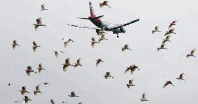 Justiça manda conter lixões que ameaçam voos em São Luís