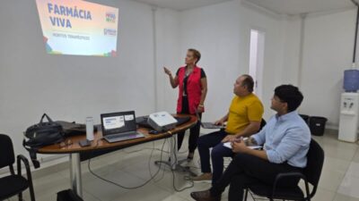 Plantas medicinais passam a integrar cuidado em saúde mental no CAPS AD do Maranhão