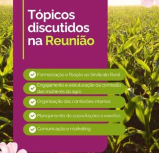 Mulheres do Agro de Codó avançam em planejamento estratégico durante reunião online