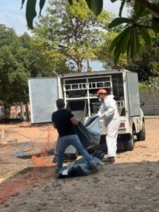 Trabalhadores encontram restos mortais de dois corpos humanos no campus da UFMA