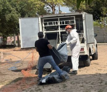 Restos humanos são encontrados em área do campus da UFMA, em São Luís