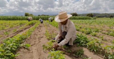Prefeitura de São Roberto firma cooperação com o Incra e amplia serviços da reforma agrária no município