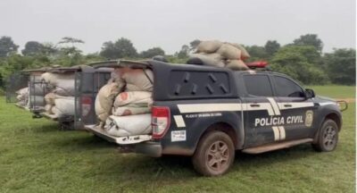 Quase duas toneladas de maconha são apreendidas na zona rural de Grajaú