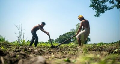 Maranhão é Plano Safra da Agricultura Familiar