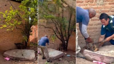 Cachorro é resgatado de situação de maus-tratos pela Polícia Militar