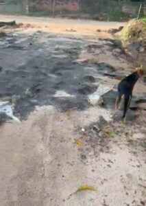 Vereadores de São José de Ribamar denunciam asfalto Sonrisal no município