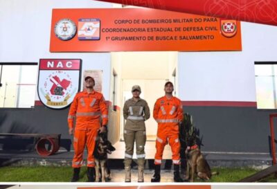 Bombeiros e cães farejadores chegam para intensificar buscas por crianças desaparecidas