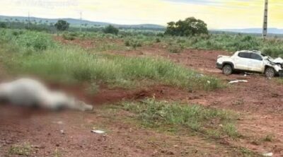 Colisão deixa dois homens e um boi mortos na BR-242, no Tocantins