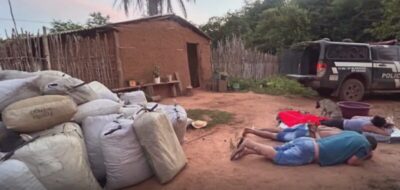 Quase duas toneladas de maconha são apreendidas na zona rural de Grajaú