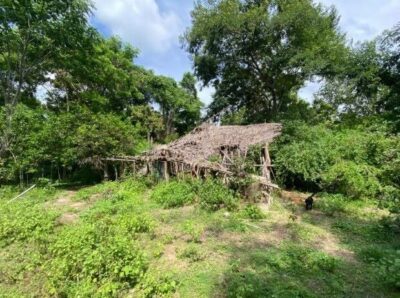 Após relato de Kauã, cães farejadores confirmam presença de crianças em ‘casa caída’