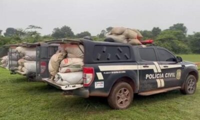 Polícia Civil do MA apreende 2 toneladas de maconha, armas e prende três em Grajaú