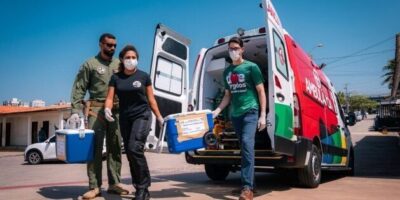 Maranhão alcança marca inédita e soma 657 transplantes de órgãos em 2025