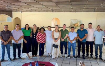 Mical articula com vices-prefeitos do Sul do Maranhão…