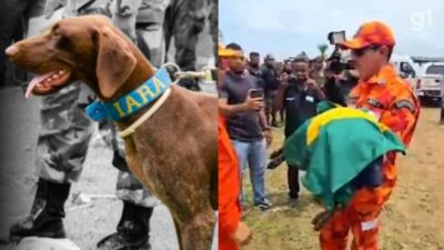 Bacabal – Cadela farejadora morre no 12° dia de buscas pelas crianças desaparecidas em São Sebastião dos Pretos  – BLOG DO JEREMIAS