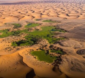 Imagens da NASA mostram avanço da vegetação em áreas do deserto do Saara