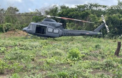 URGENTE! Polícia Federal encontra 70 mil pés de maconha na região central do Maranhão