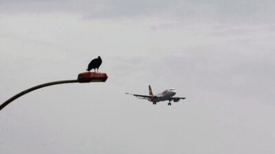 Justiça federal determina ações urgentes contra lixões que geram riscos de acidentes aéreos em São Luís