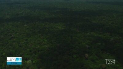 MPF recomenda envio da Força Nacional após aumento da violência em terra indígena no Maranhão