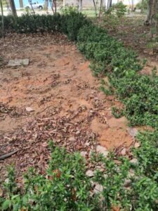 Braide abandona tradicional praça, construída há meio século