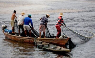 Ministério da Pesca cancela licenças de pescadores no MA, DF e mais 23 estados; veja a lista de profissionais maranhenses.