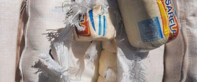 Carga com transporte irregular de queijo e de bovinos é apreendida em Caxias