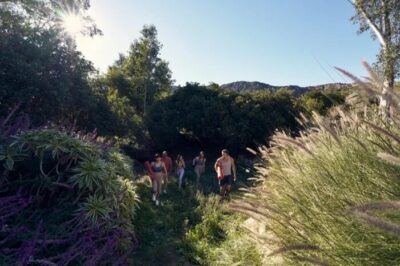 Yoga cresce com o setor de bem-estar no país