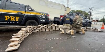 PRF apreende 213 kg de skunk na BR-135, em Peritoró