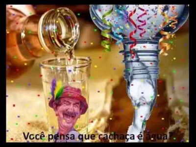 LINHAGENS E LINGUAGENS