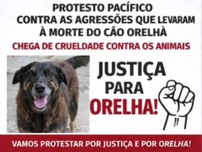 Protesto pacífico em São Luís pede justiça pela morte do cão comunitário Orelha