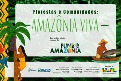 Fundo Amazônia lança chamada pública de R$ 80 milhões para produção sustentável