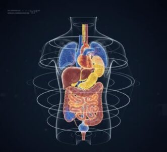 Método criado nos EUA pode melhorar detecção do câncer e doenças neurológicas