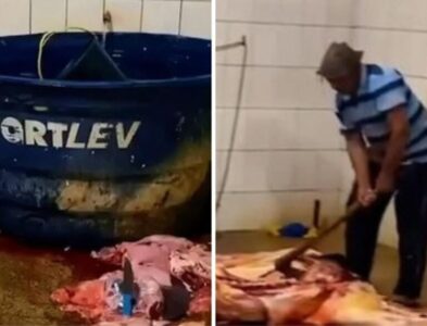 Justiça interdita matadouro público de Nova Iorque após ação do MP por riscos sanitários