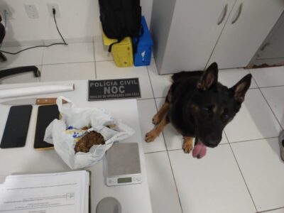 OPERAÇÃO CARNAVAL SEGURO: POLÍCIA CIVIL REALIZA PRISÕES NA CAPITAL E NO INTERIOR DO ESTADO