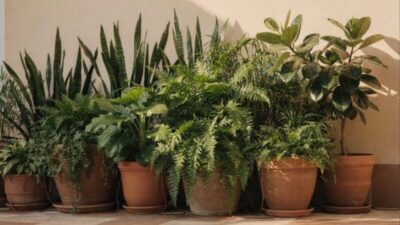 Seu muro pode virar um escudo natural contra o ruído