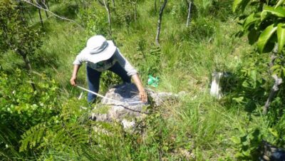 Justiça Federal suspende obras e ocupações em área de fósseis em Duque Bacelar