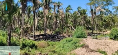 Em Passagem Franca, empresário é denunciado por danos ambientais em área protegida