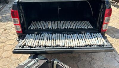 Polícia apreende 78 cargas de explosivo abandonadas às margens da MA-014 em Vitória do Mearim
