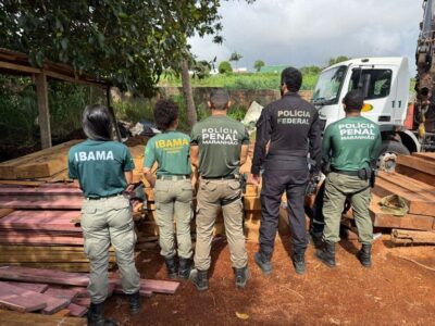 PF e Ibama combatem exploração ilegal de madeira no Maranhão